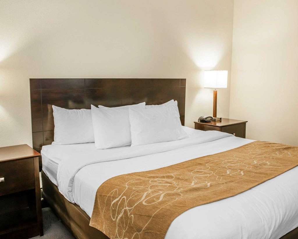Comfort Suites Fort Wayne - Southwest Δωμάτιο φωτογραφία